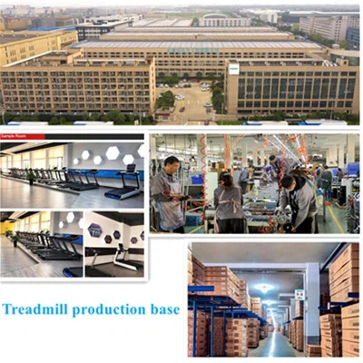 product-400-400 dog walking machine