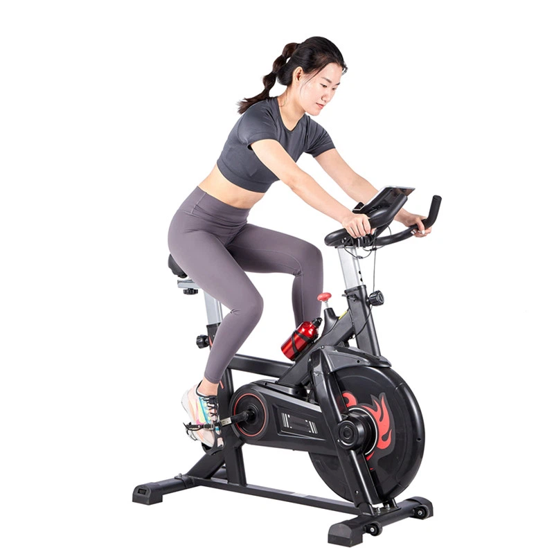 magnetic exercise bike