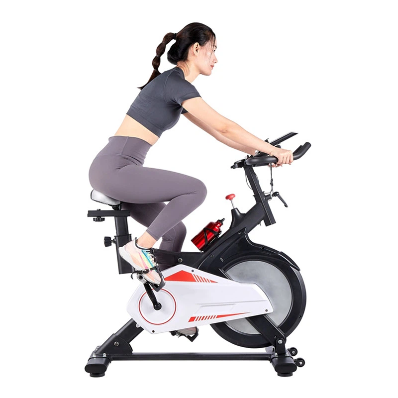 home gym spin bike