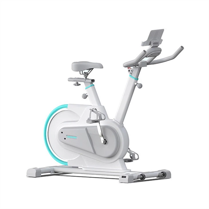 Magnetic Exercise Bike