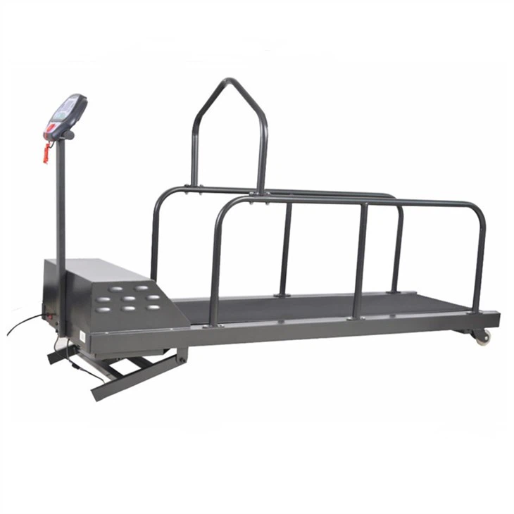 Pet Treadmill For Dogs